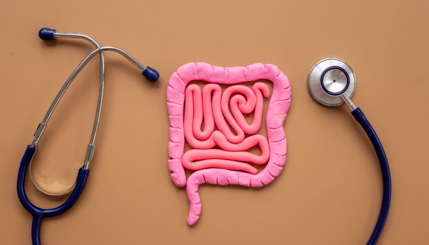 Gut microbiome dynamics through Ayurveda: understanding Trayopastambha principles